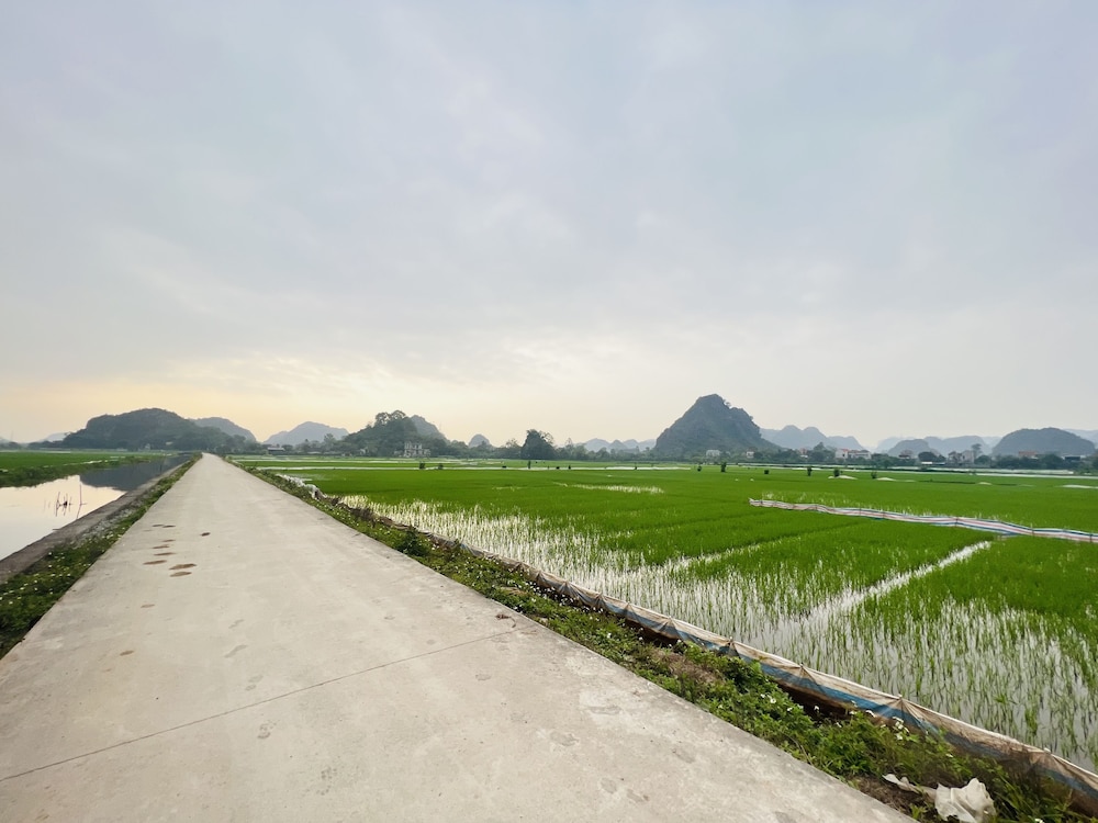 Ninh Binh Family Homestay 36/50