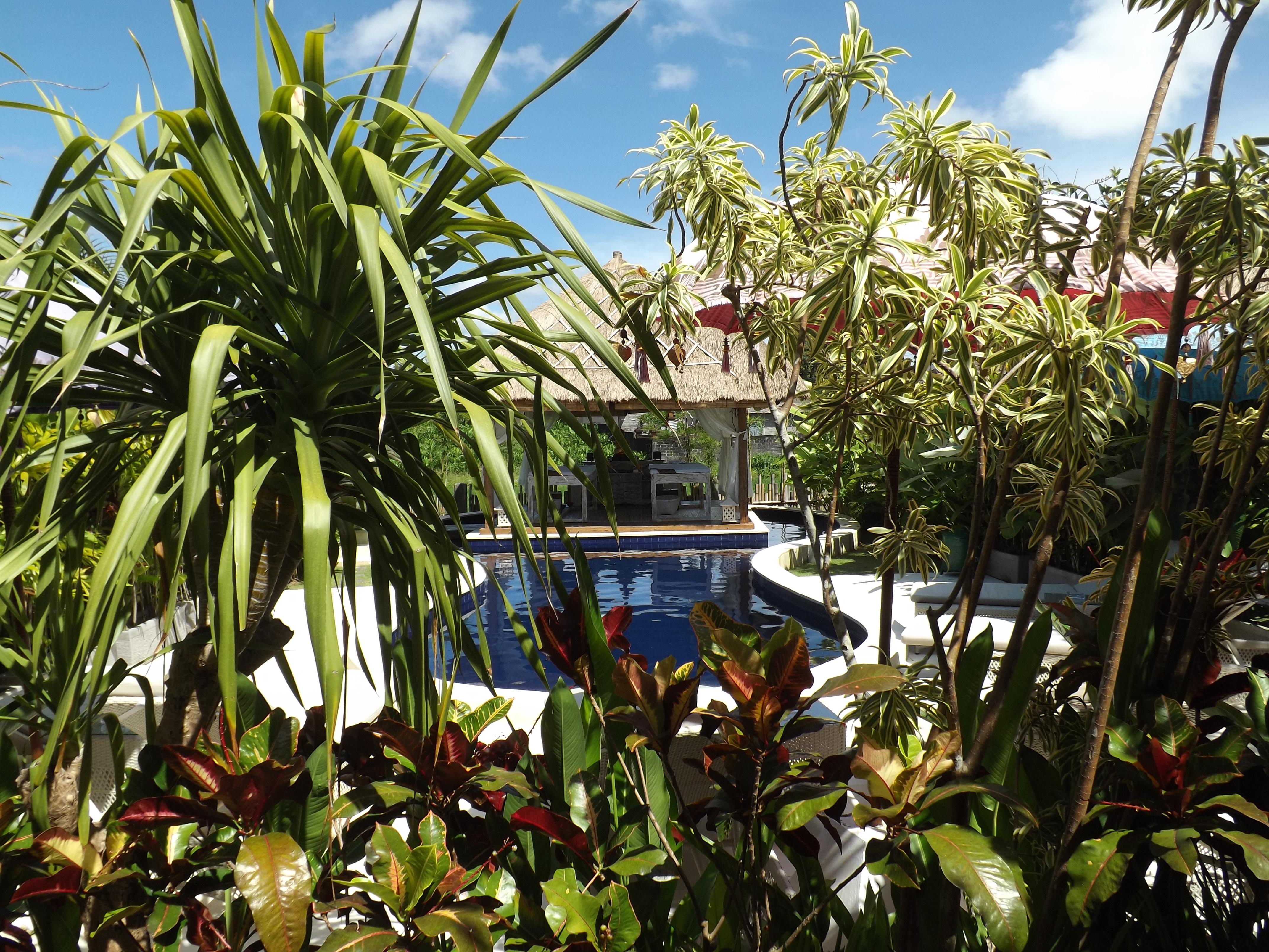 UNITED COLORS OF BALI 20/30