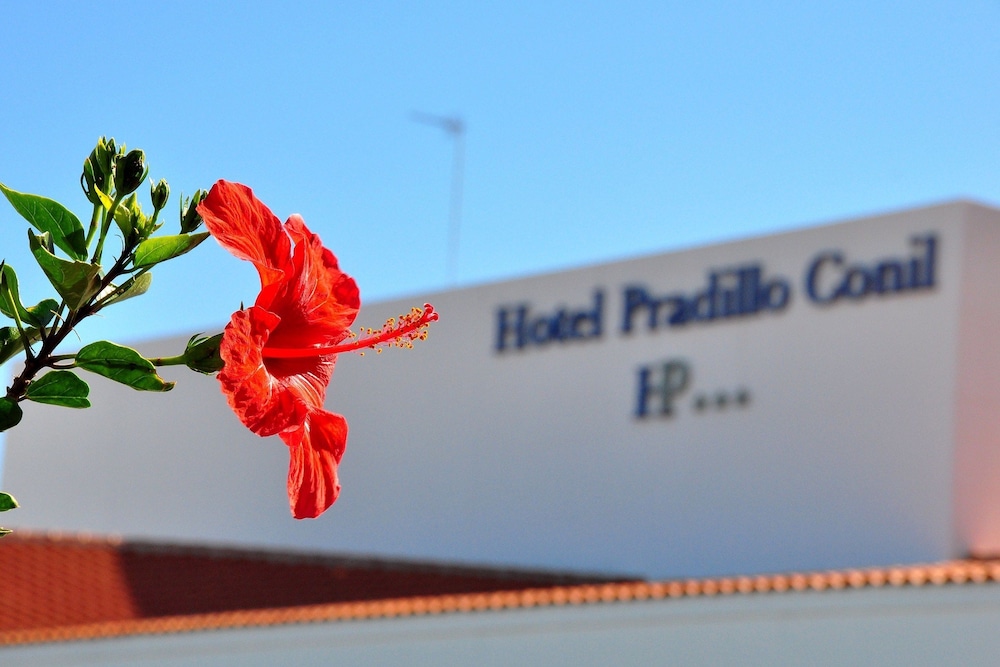 Pradillo Conil 23/50