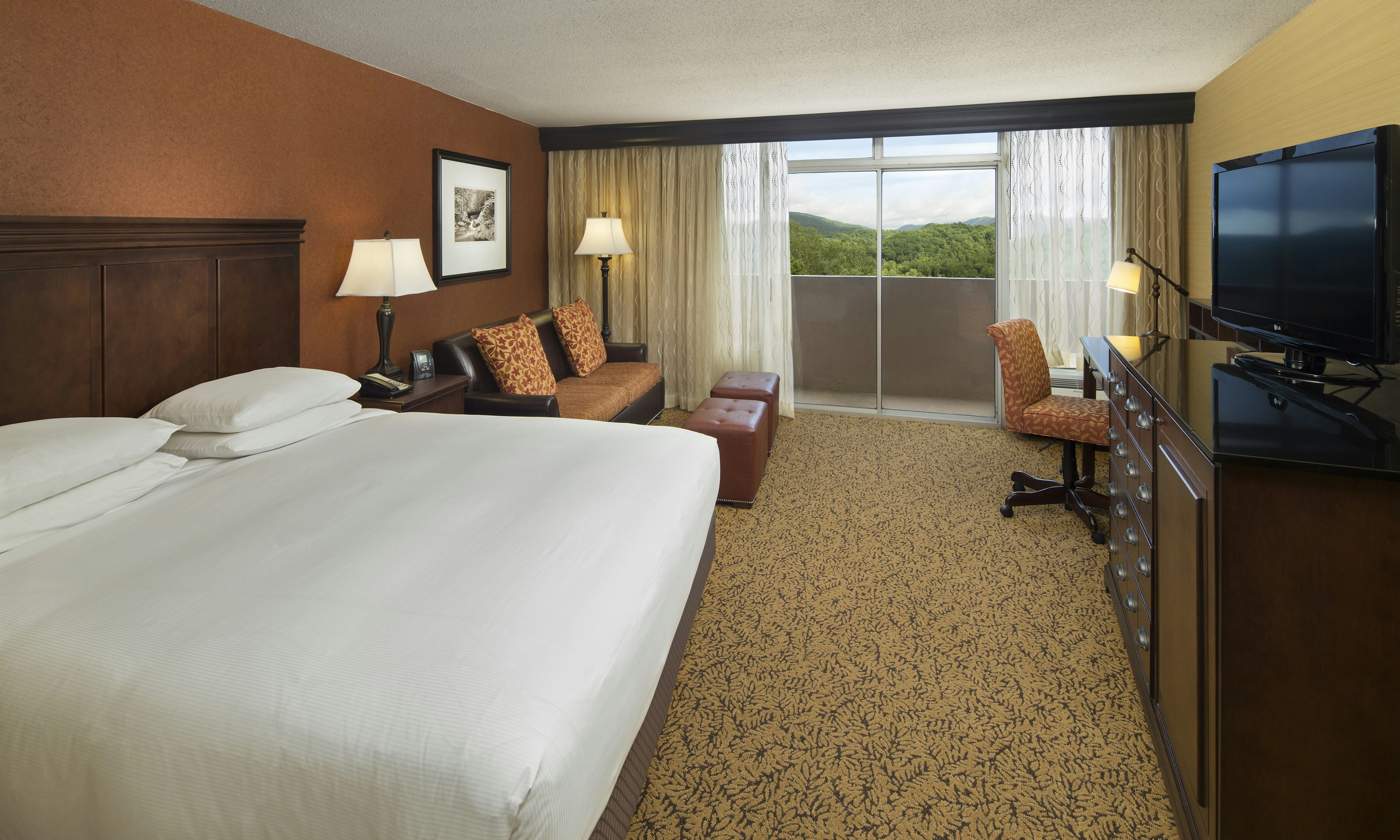 Room, King Bed, Mountain View