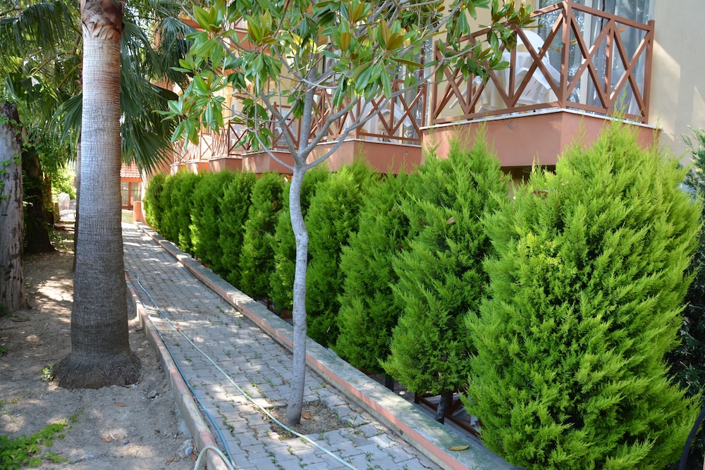 surroundings