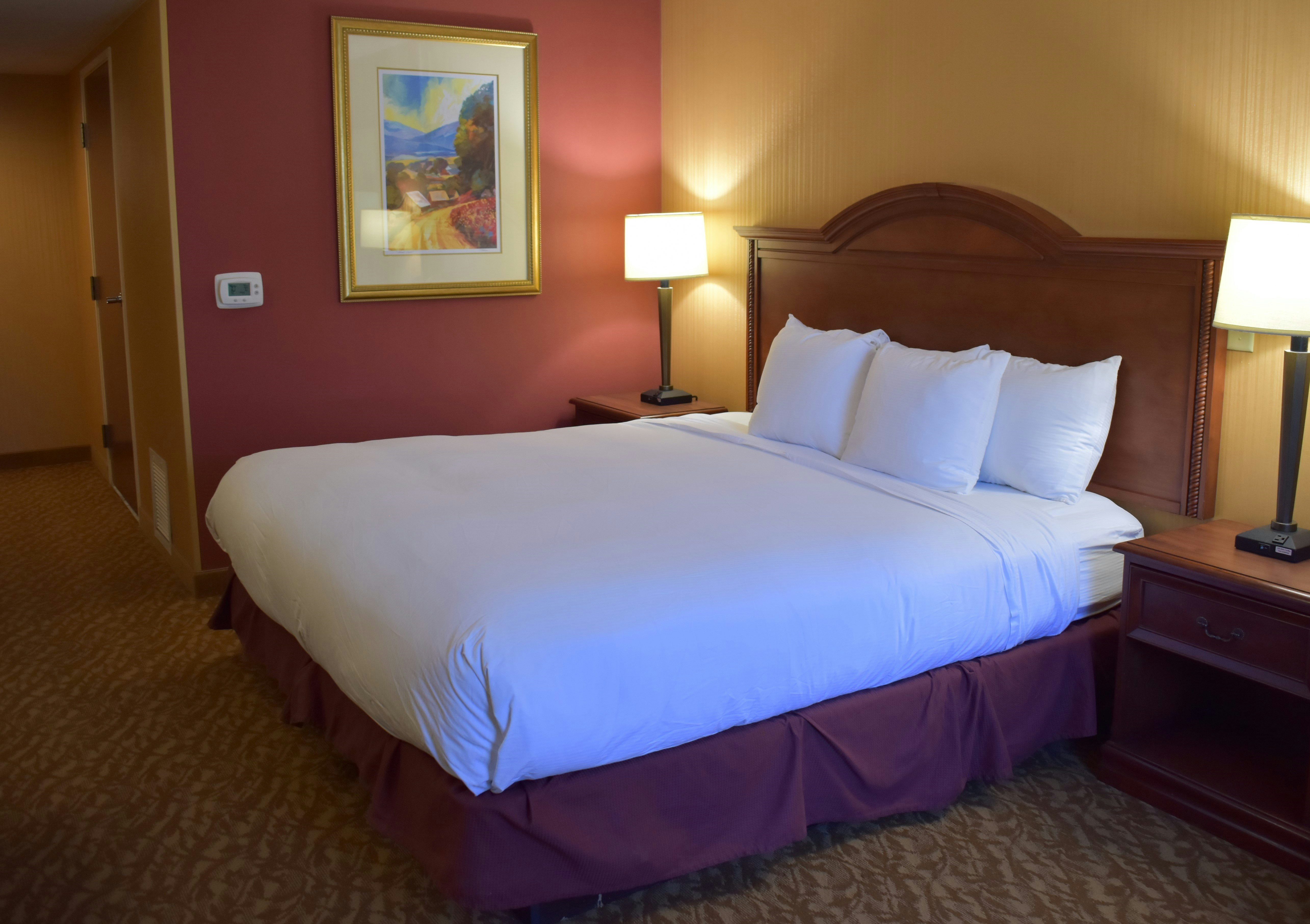 ROOM, KING BED, ACCESSIBLE