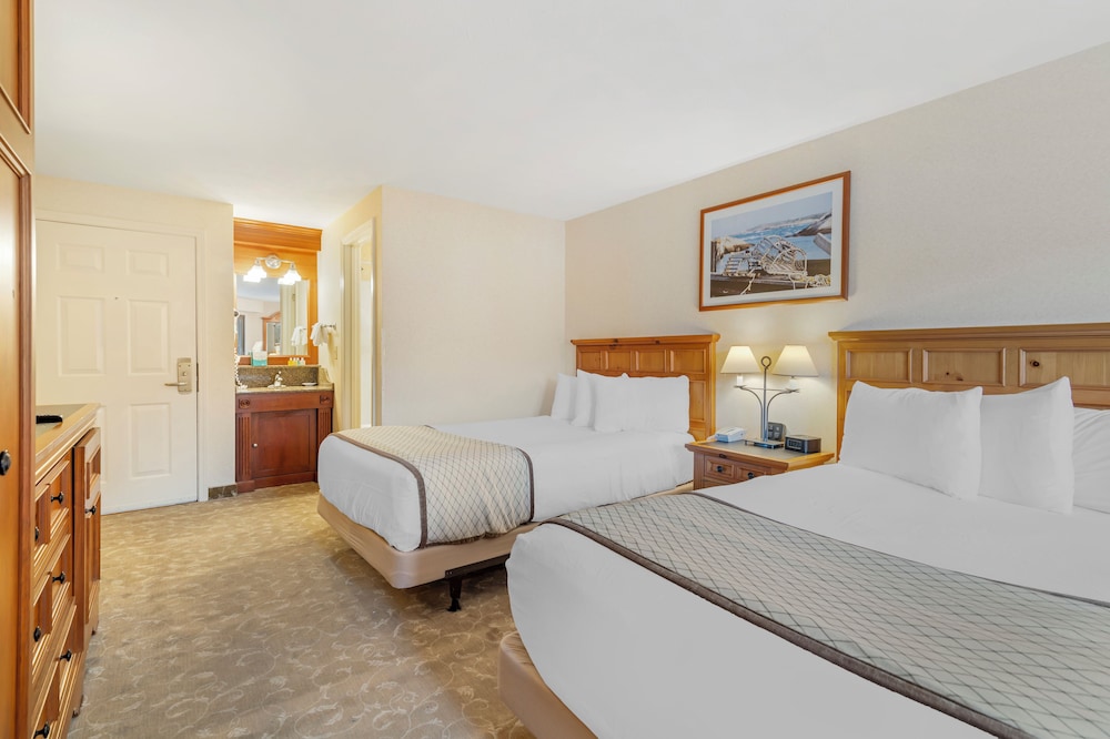 Pines, Garden, 2 Double Beds