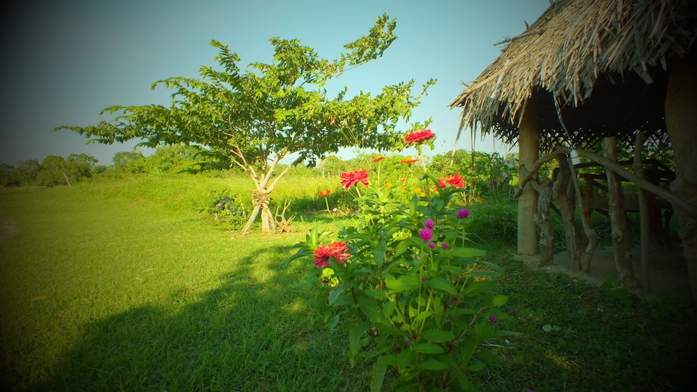 Jungle House Yala 39/50