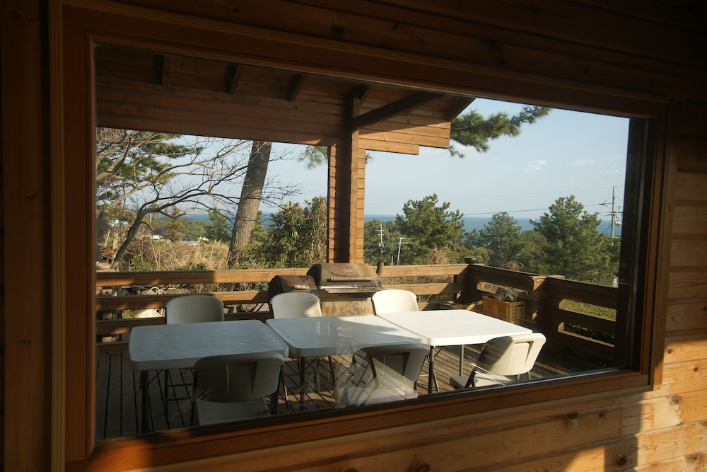 Sunnyday Jeju 24/49