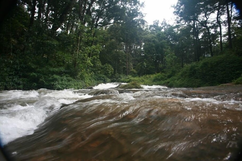 Wild Elephant Eco Friendly Resort 23/32