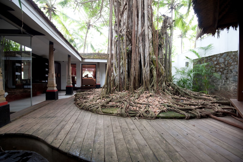 Niraamaya Retreats Surya Samudra Kovalam 41/49