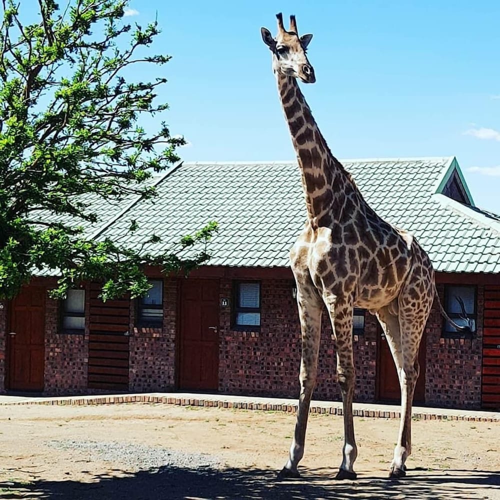 Sangiro Game Lodge 42/50