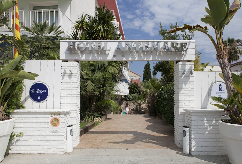 Ibersol Antemare - Adults Only 4/65