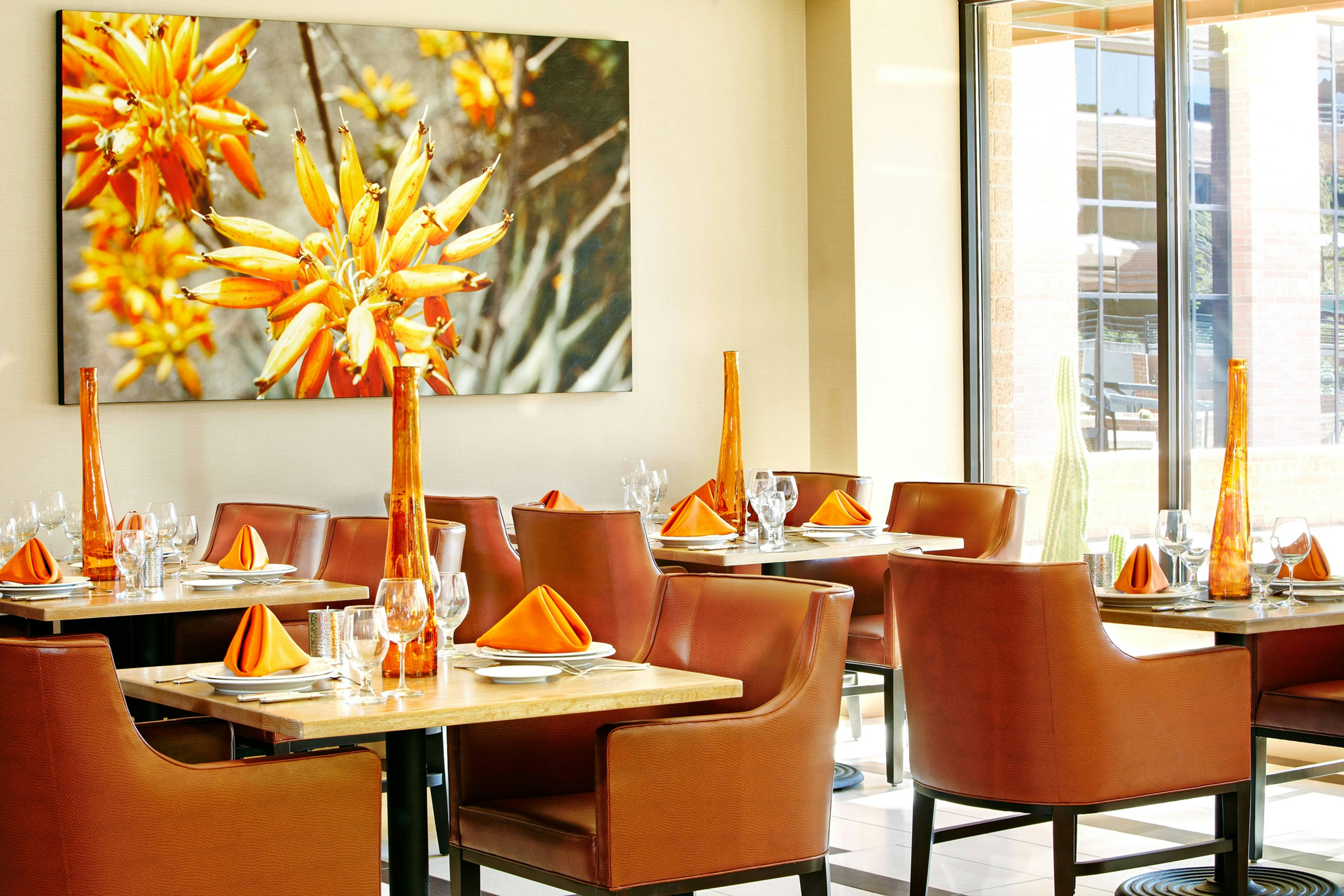 Scottsdale Marriott Suites Old Town 6/16