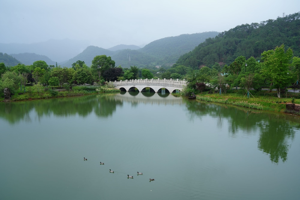 Dahongpao Resort Wuyi Mountain 44/48