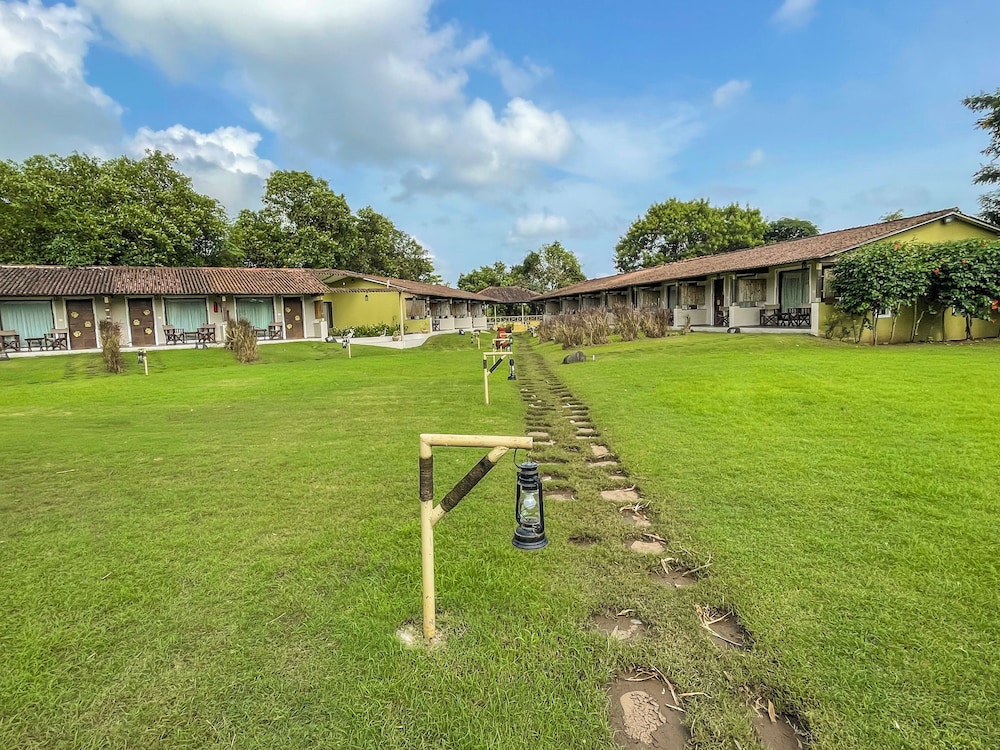 Asiatic Lion Lodge 44/50