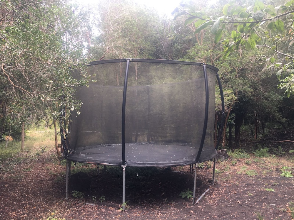 Cabanas Anulen Bosque Nativo 21/49