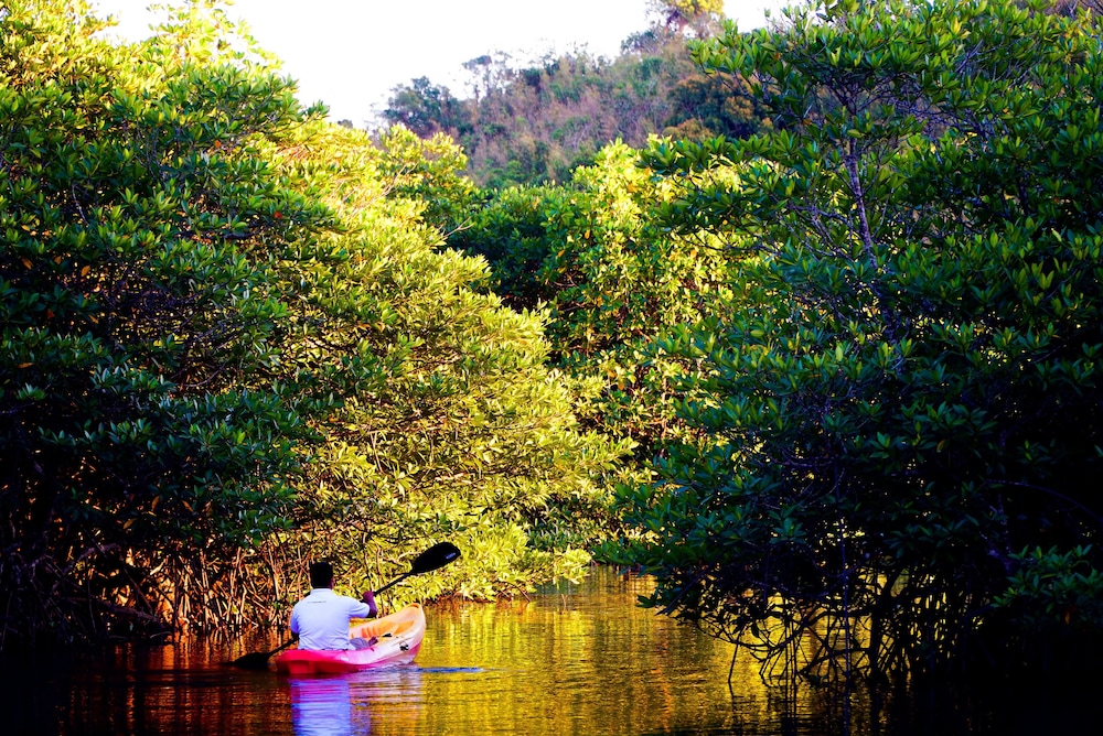 Bacau Bay Resort Coron 33/43