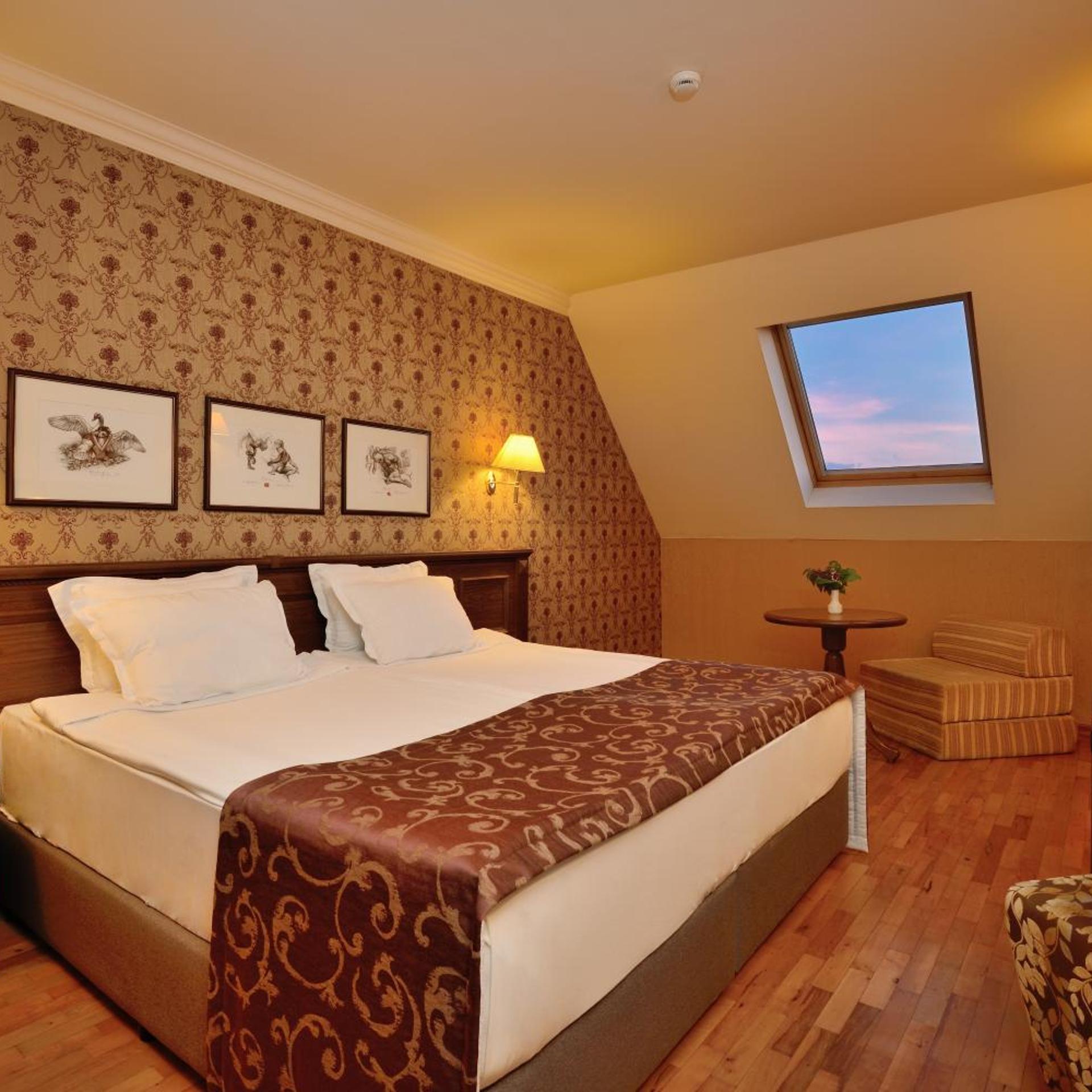 Room, Double Bed, No Balcony, Attic