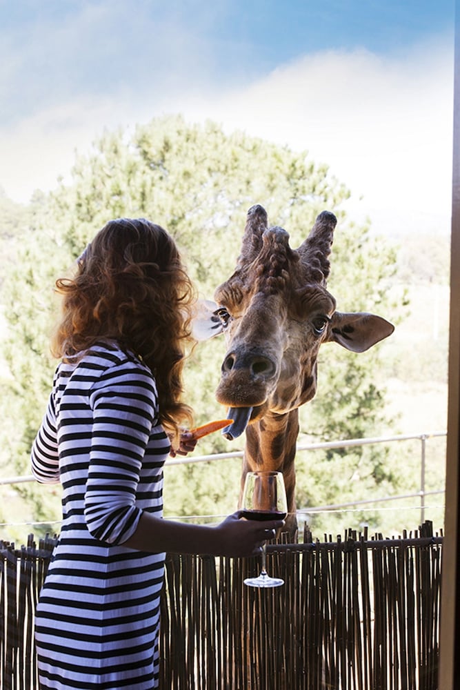 JAMALA WILDLIFE LODGE 36/50