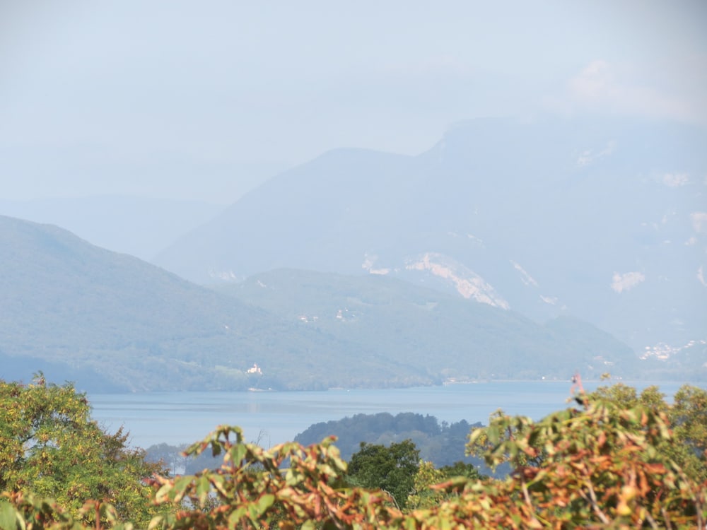 Demeure D'hôtes L'hermitage 36/50