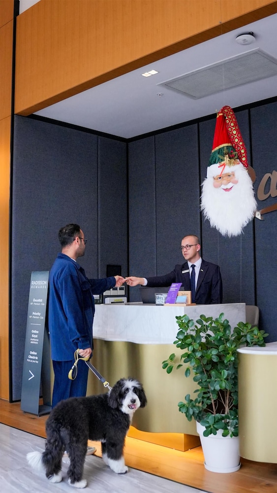Radisson Hotel Mersin 7/48