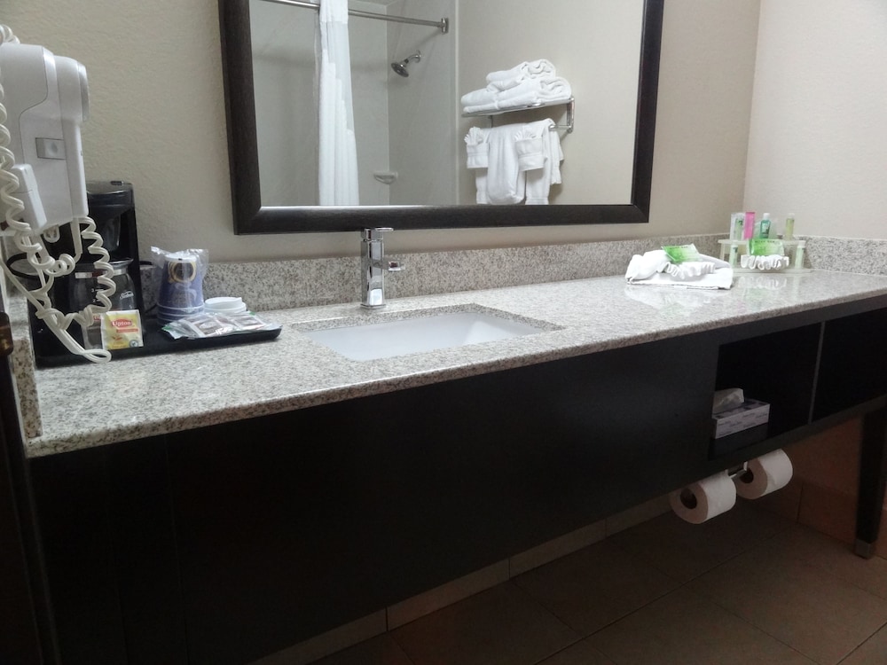 Holiday Inn Express Hotel And Suites Orange City 48/63