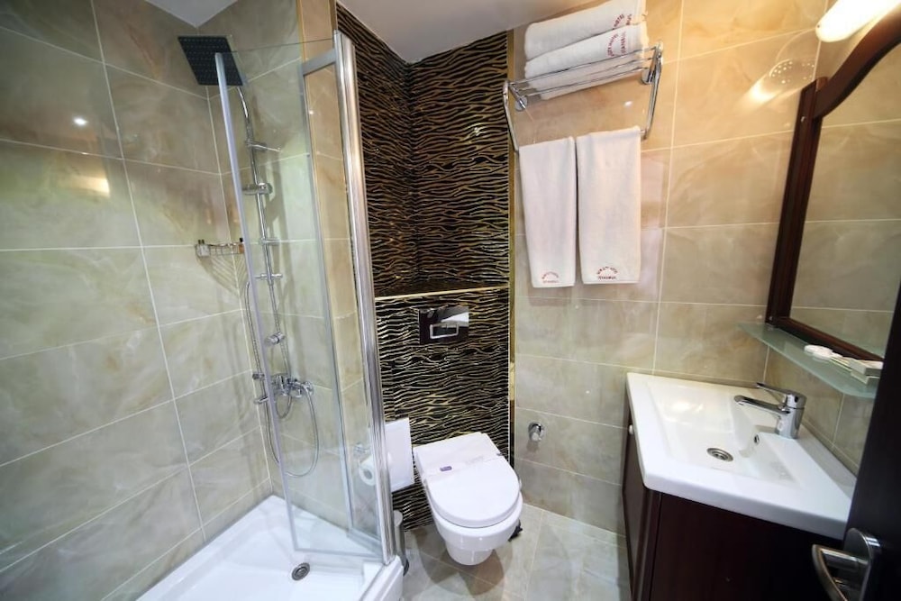 Istanbul Newcity Hotel 43/50