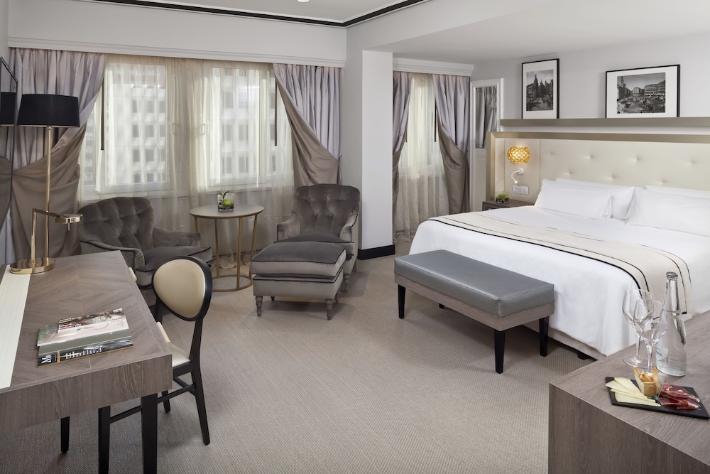 Melia Castilla Hotel 27/81
