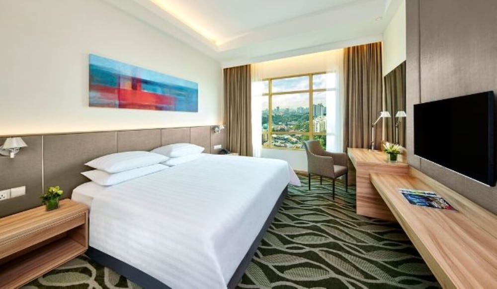 DELUXE PLUS PARK ROOM