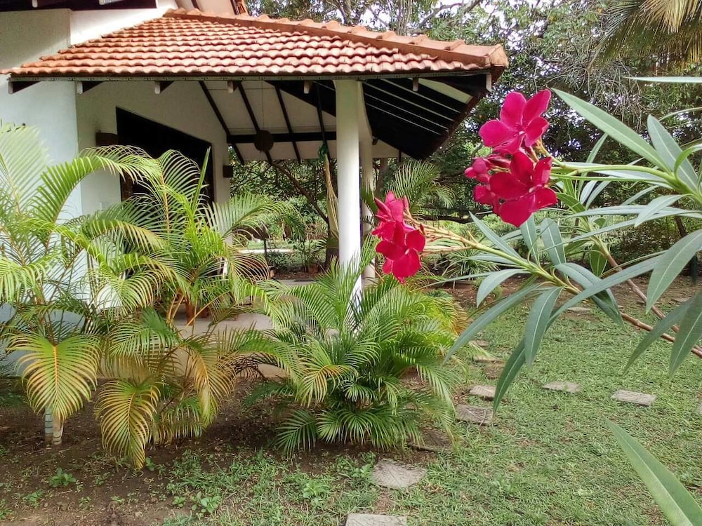 Chill Enjoy Cabanas & Restaurant 31/36