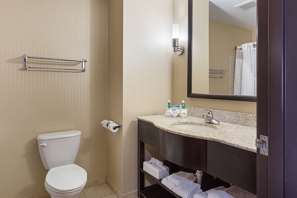 Holiday Inn Express Hotel Suites Byram 66/70