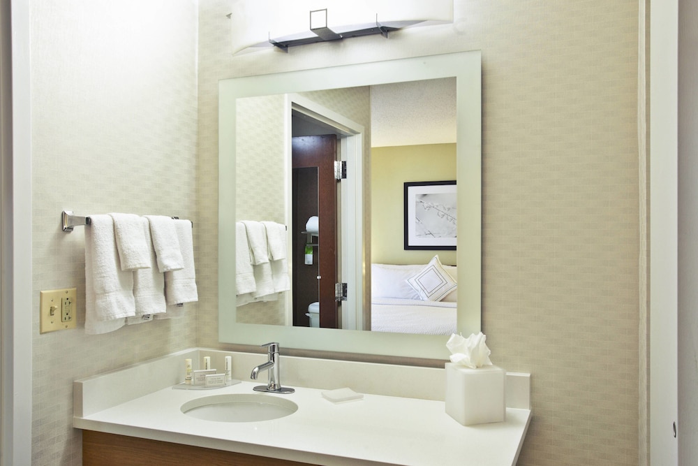 استوديو تنفيذي بسرير كينج مع أريكة، SPRINGHILL SUITES BY MARRIOTT CHICAGO ELMHURST/OAKBROOK AREA 4/4