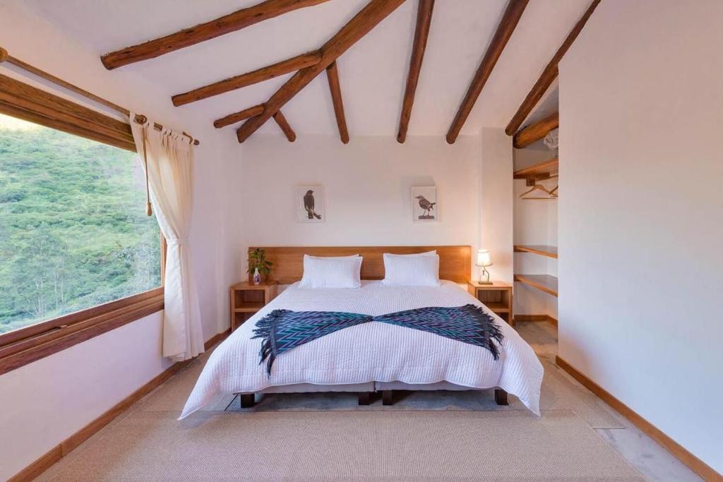 Room, King Bed, Mountain View