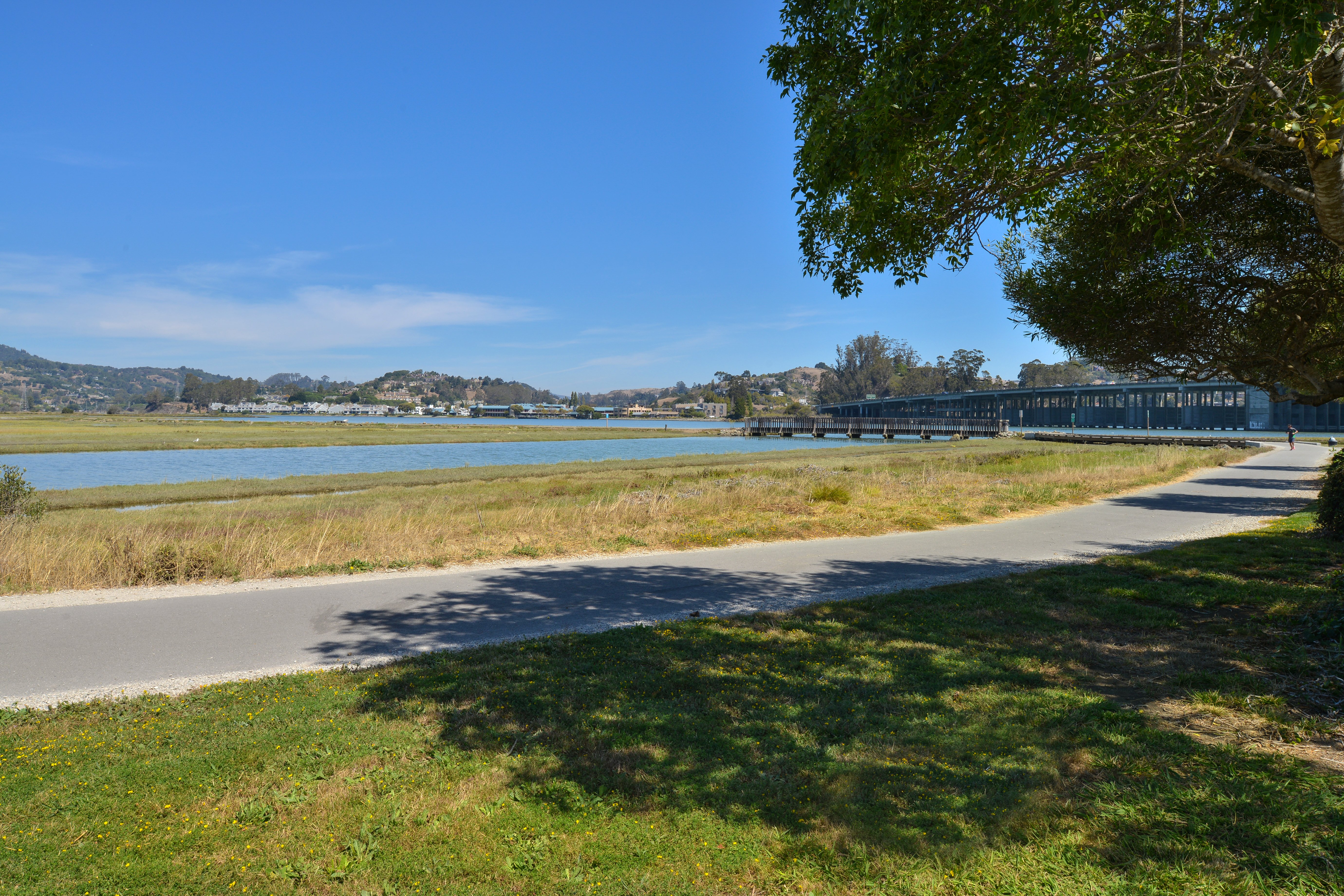 Holiday Inn Express Mill Valley San Francisco Area 85/92