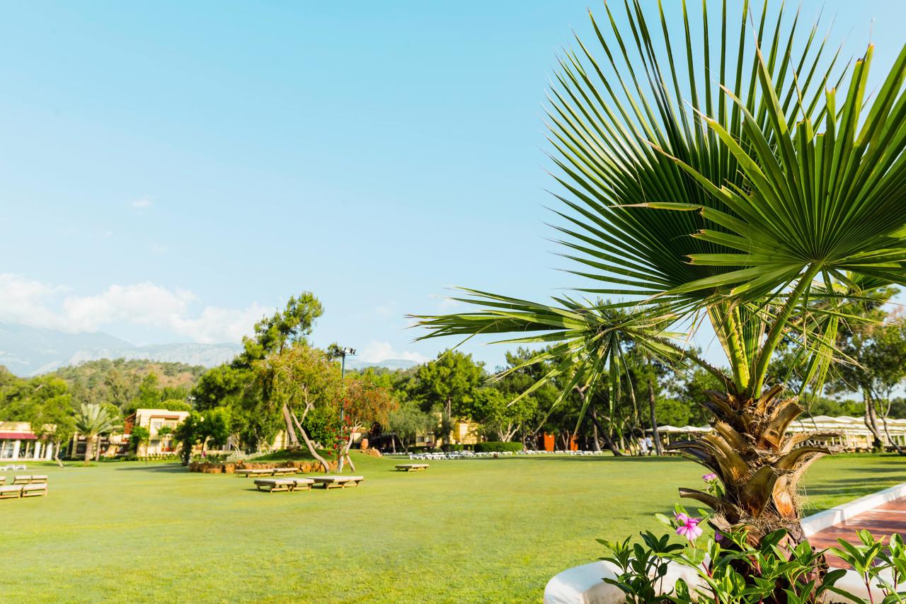 Robinson Club Camyuva - Adults only 82/92