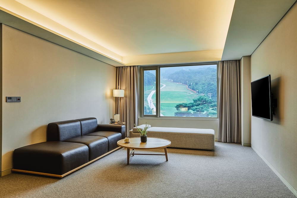 Phoenix Hotel Pyeongchang 49/76