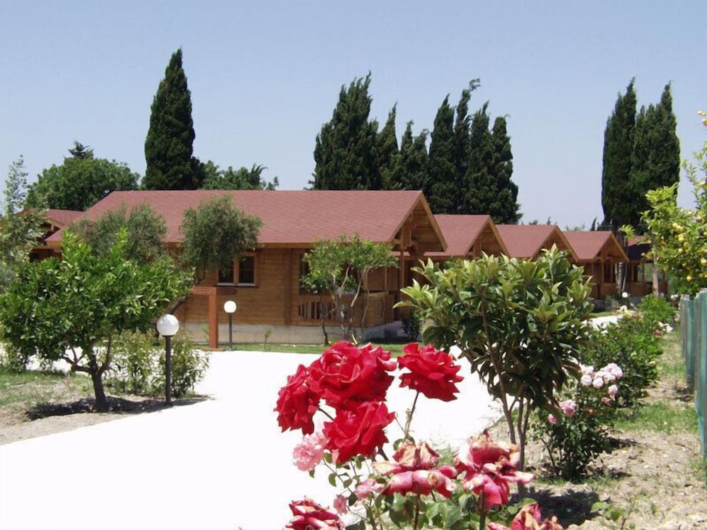 Sandys Studios Apartments And Log Villas 3/46