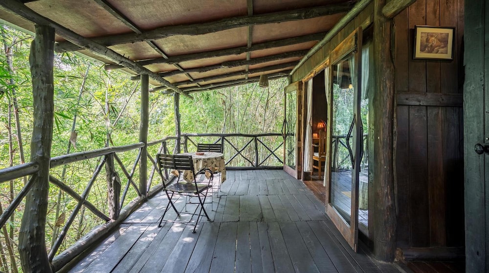 TREE HOUSE HIDEAWAY 10/50