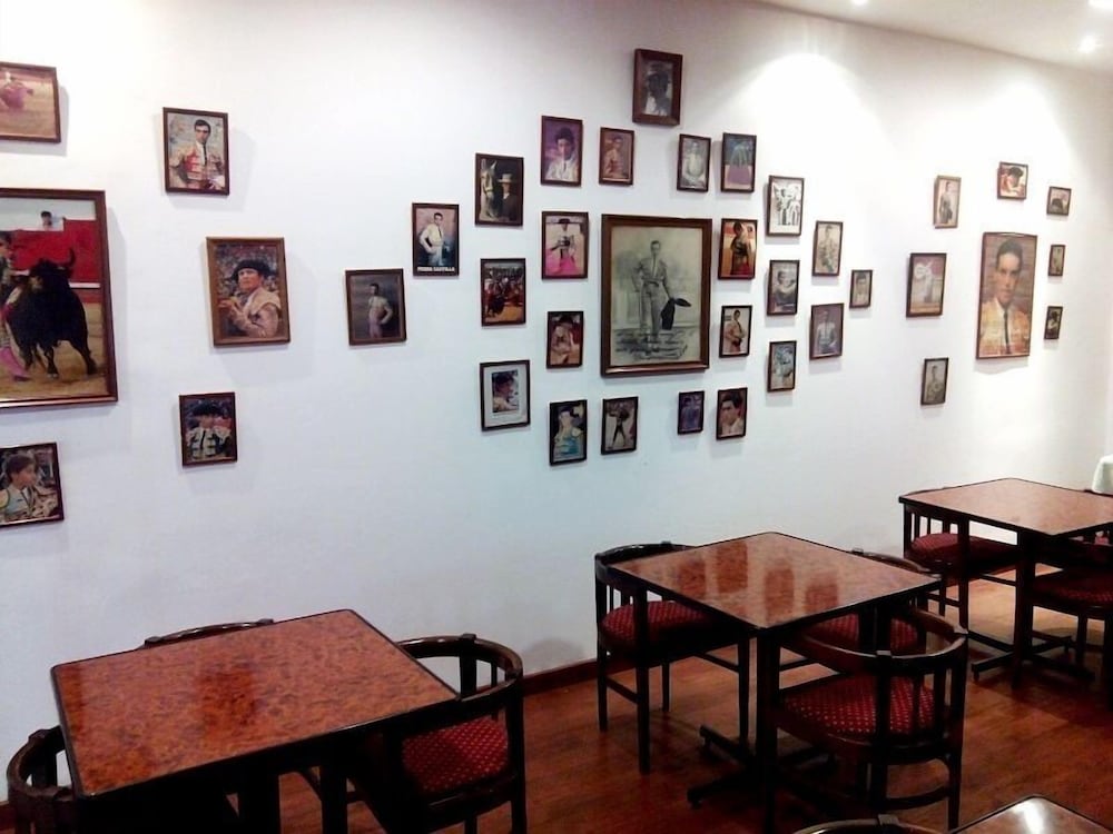 Nuevo Hotel Vista Alegre 15/22