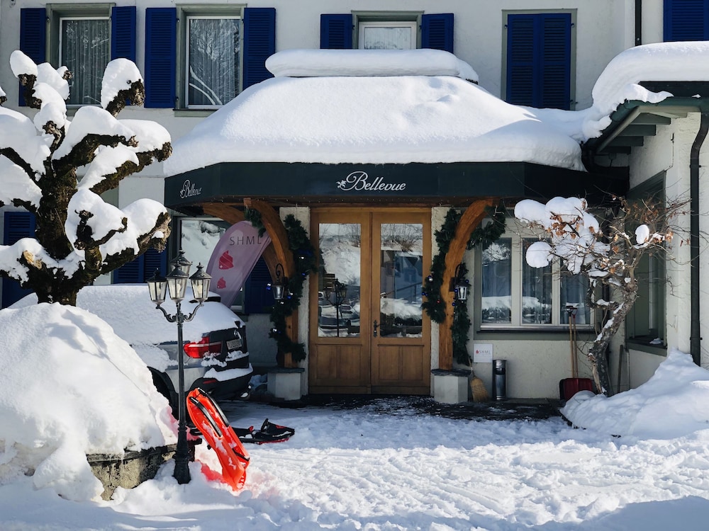 Park Hotel Bellevue Lenk 44/48