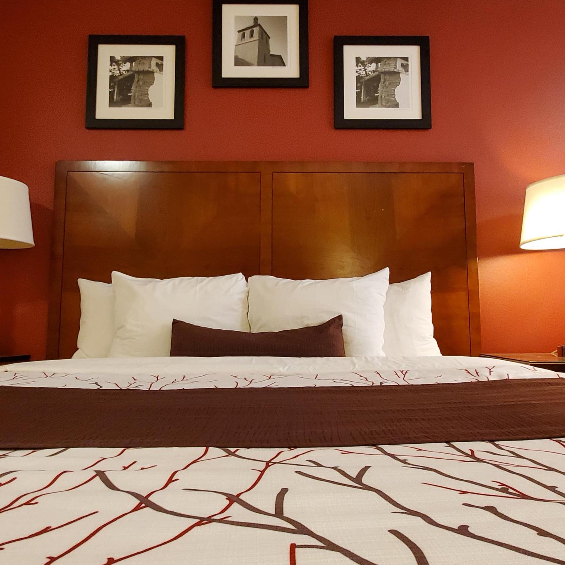 Apple Inn Motel 9/50