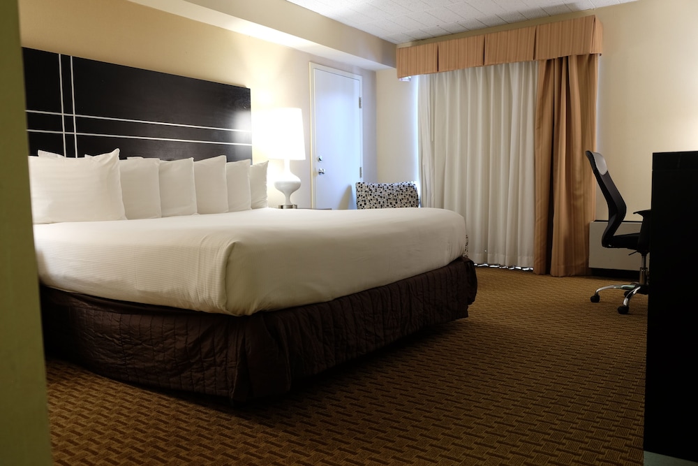 Chateau Resort & Conference Center 28/73