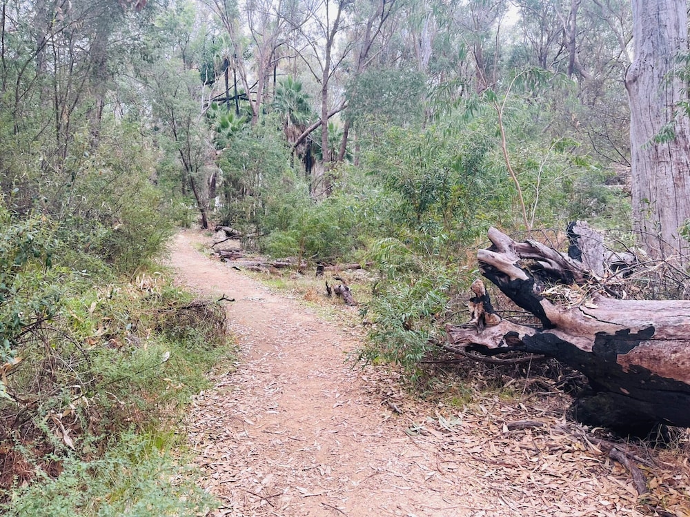 Yanchep Inn 26/41