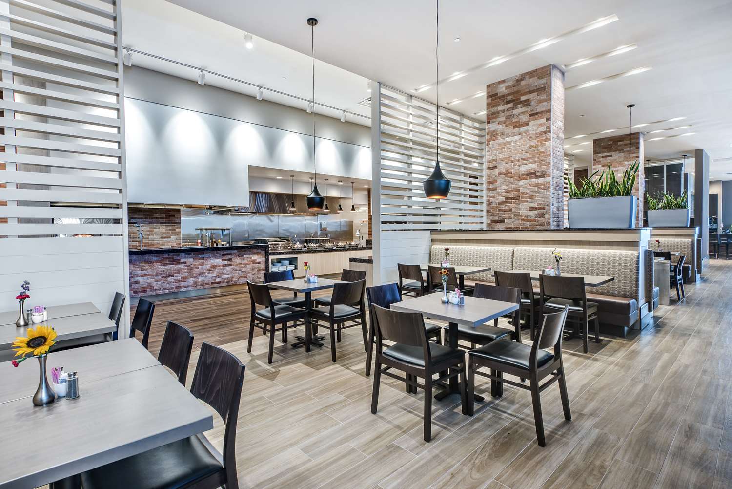 restaurant cafeteria