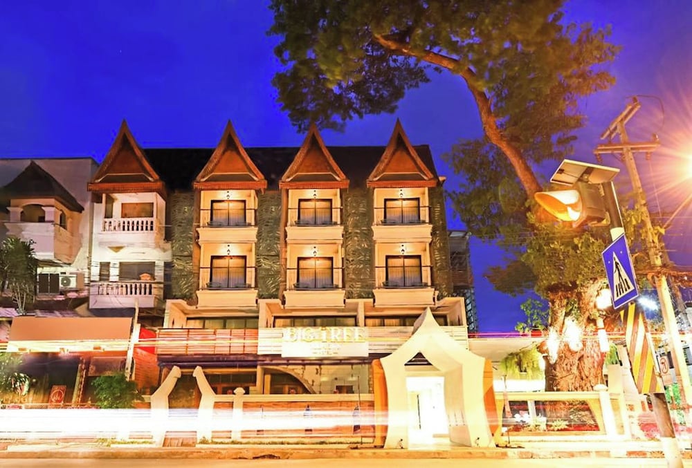 Big Tree Old Town Hotel 4/77