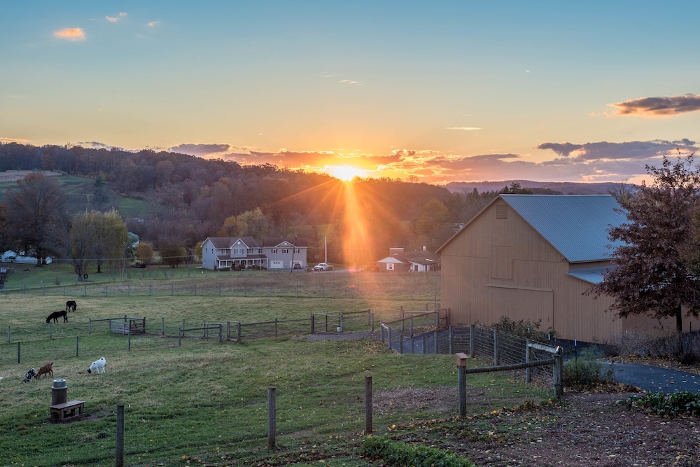 Frush Farm Bed & Breakfast 36/48