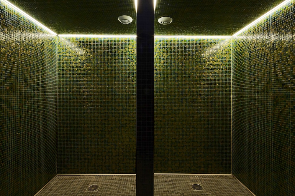 Kyriad Prestige Lyon Est Saint Priest Eurexpo Hotel And Spa 47/72