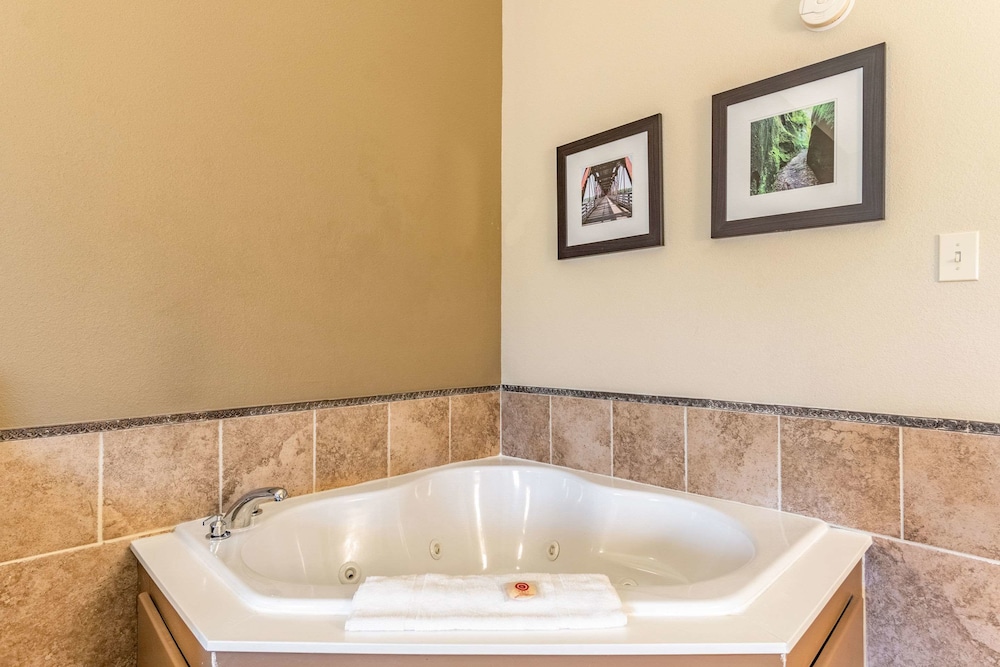 Comfort Inn Suites Tuscumbia Muscle Shoals 34/45