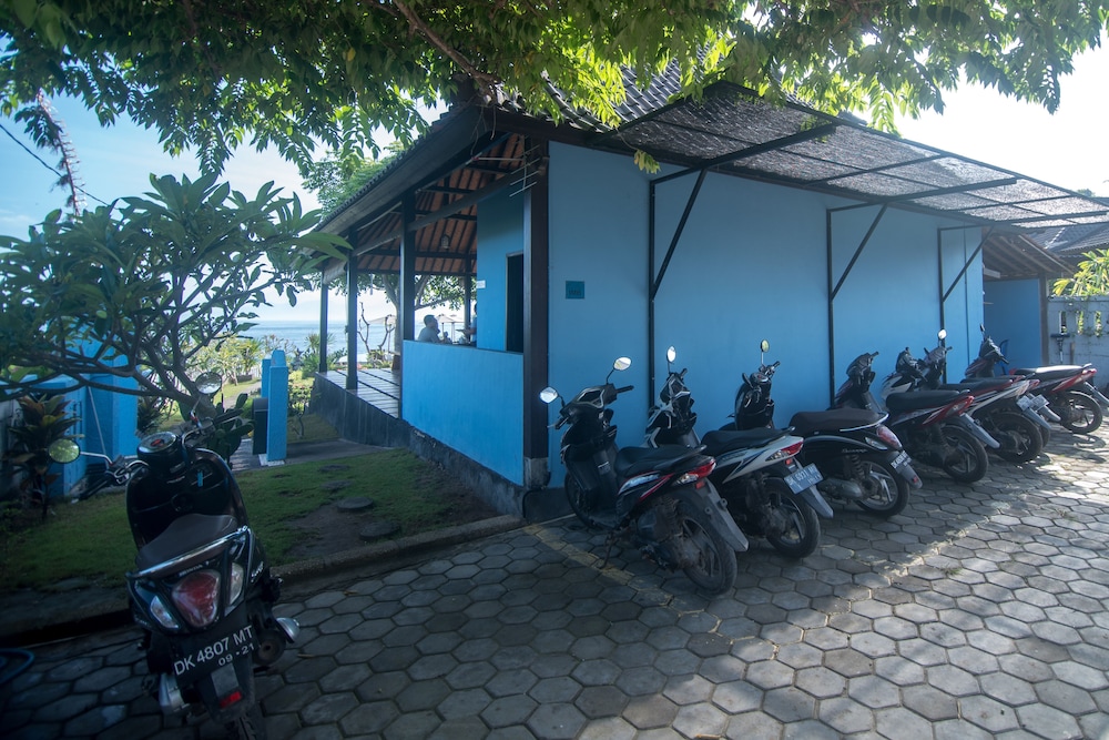 Bali Belva 51/66