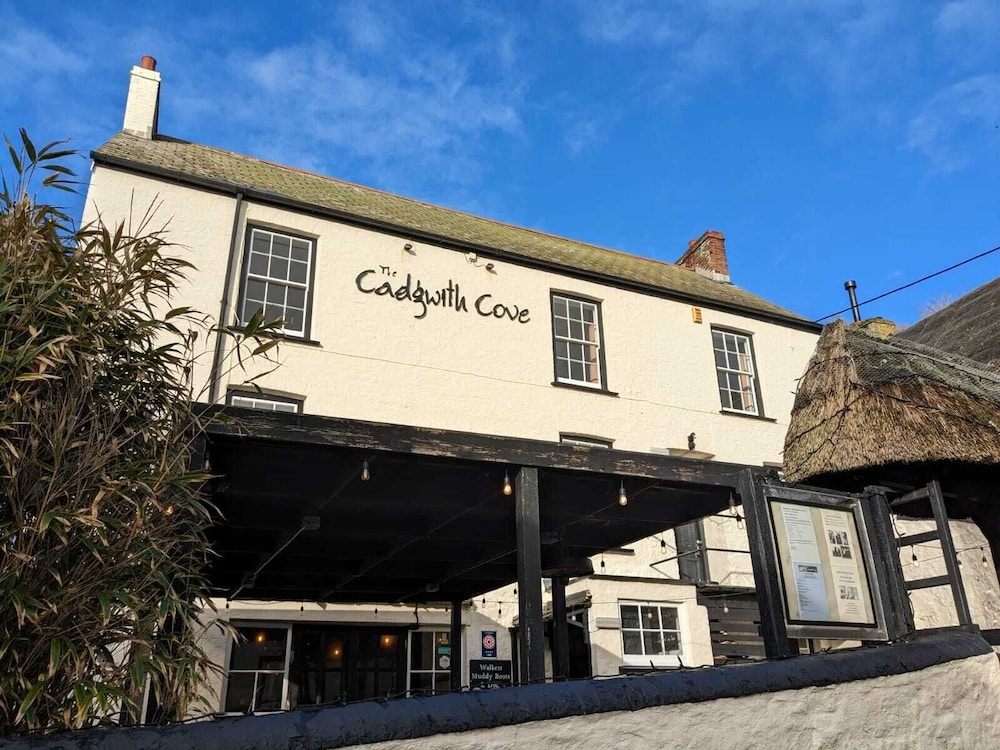 Cadgwith Cove Inn 1/50