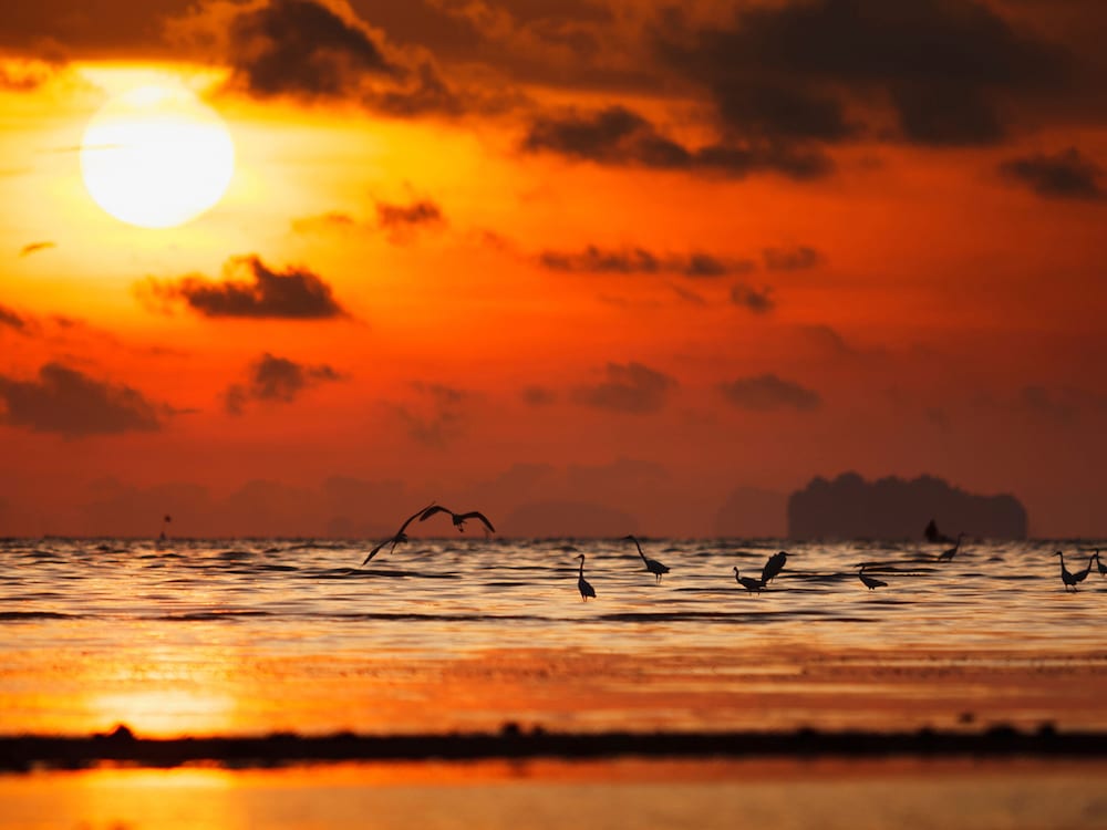 Ibis Styles Phuket City 53/60
