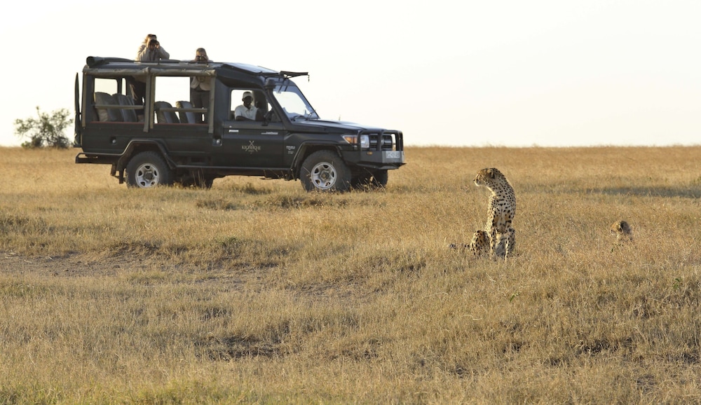 Kicheche Laikipia Camp - All Inclusive 21/28