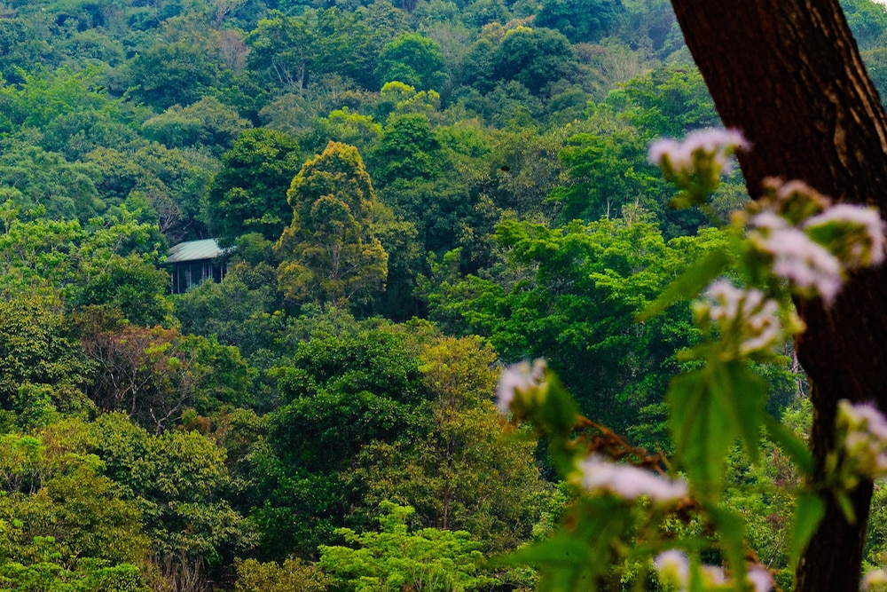 Wayanad Wild - Cgh Earth 27/48